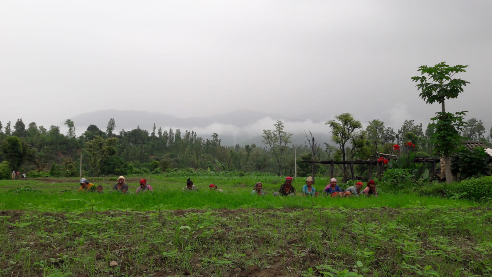 WhatsApp Image 2026-02-16 at 15.21.55