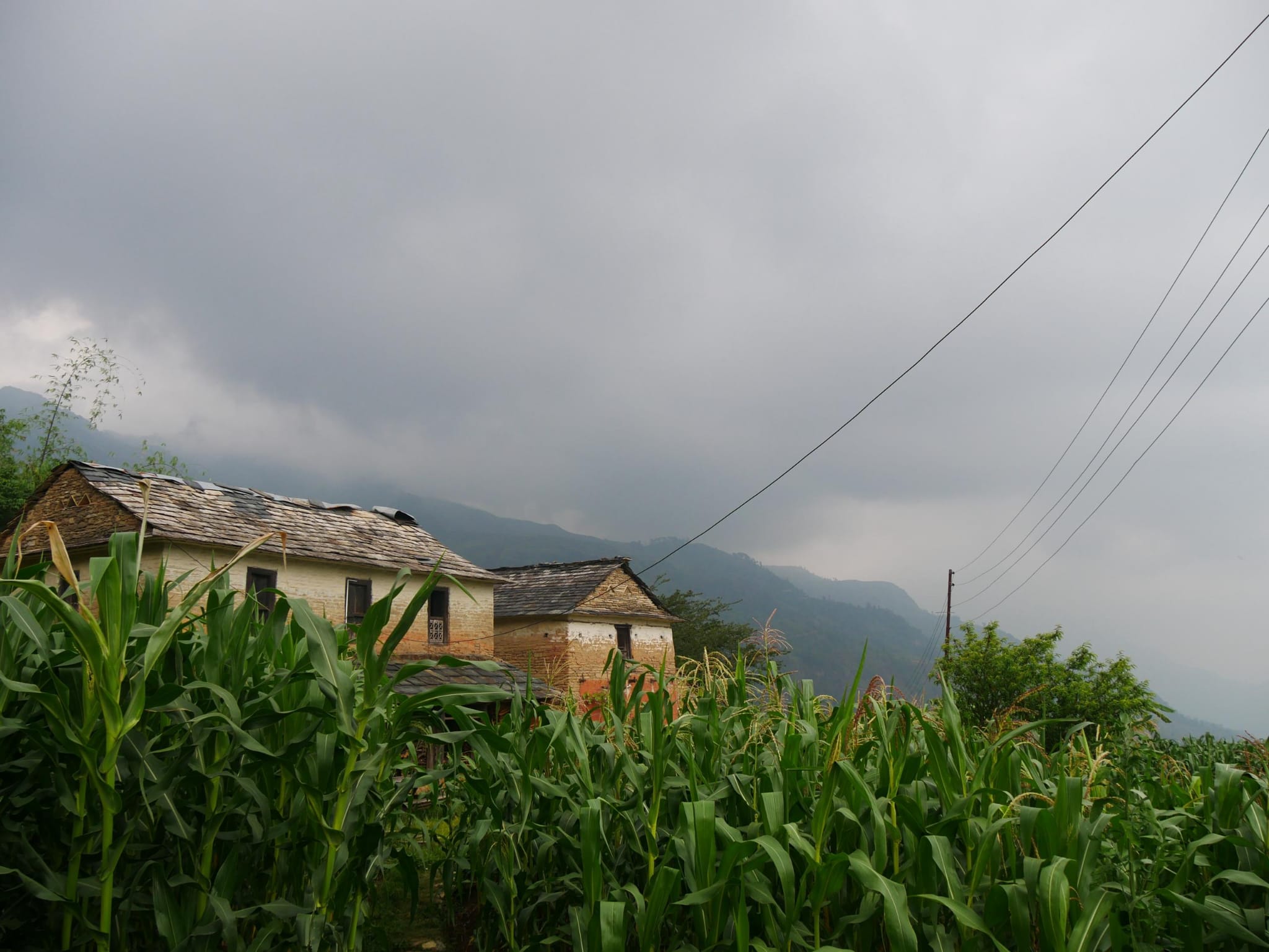 WhatsApp Image 2026-03-27 at 14.08.48